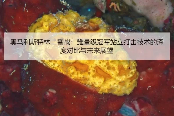 ao-ma-li-si-te-lin-er-fan-zhan-chu-liang-ji-guan-jun-zhan-li-da-ji-ji-shu-de-shen-du-dui-bi-yu-wei-lai-zhan-wang-2-629.jpg