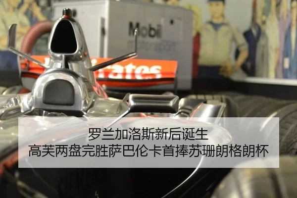 luo-lan-jia-luo-si-xin-hou-dan-sheng-gao-fu-liang-pan-wan-sheng-sa-ba-lun-ka-shou-peng-su-shan-lang-ge-lang-bei-2-976.jpg